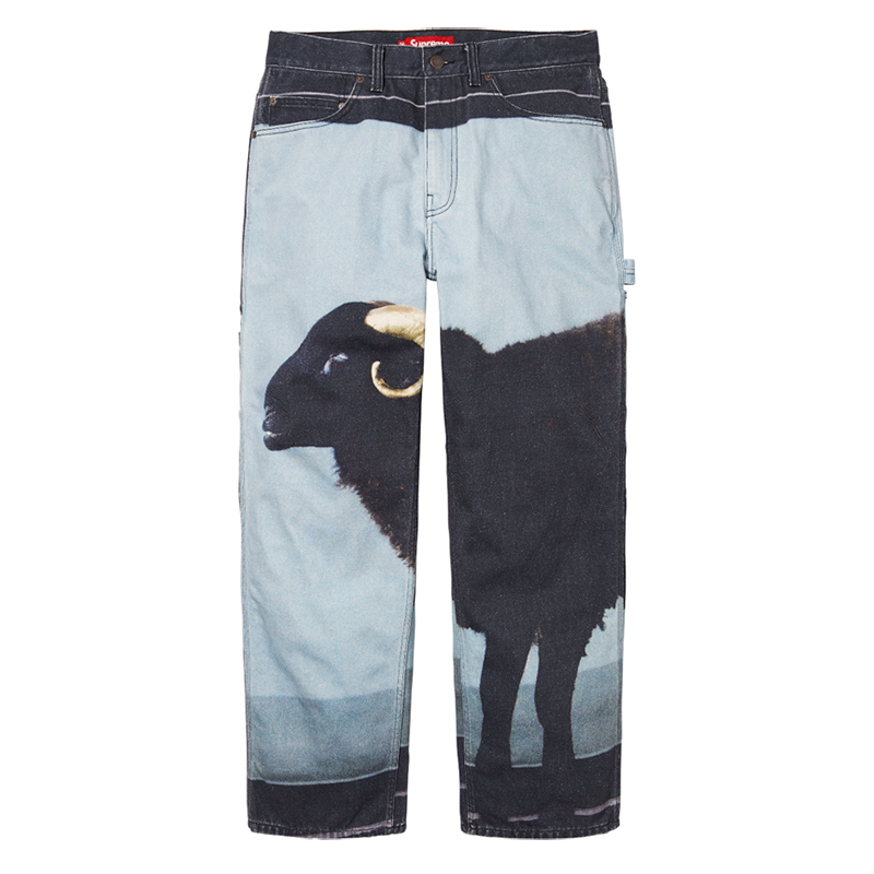 Supreme 25SS Damien Hirst Jeans